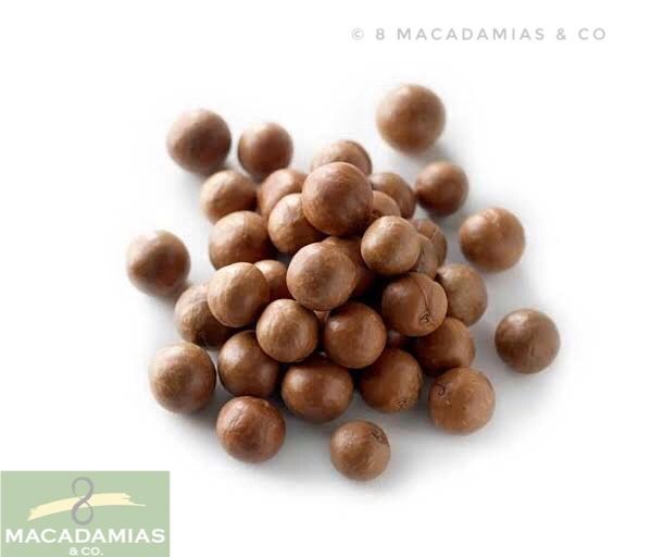 Organic Macadamia Nuts In Shell